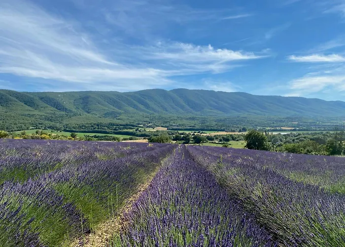 Historic Bastide With Private Pool In The Luberon Holiday home Cereste